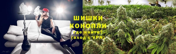 индика Армянск