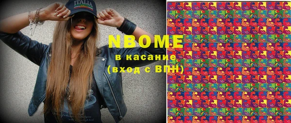 индика Армянск