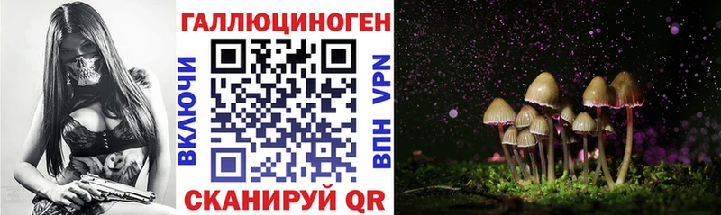 купить  сайты  Люберцы  Галлюциногенные грибы MAGIC MUSHROOMS 