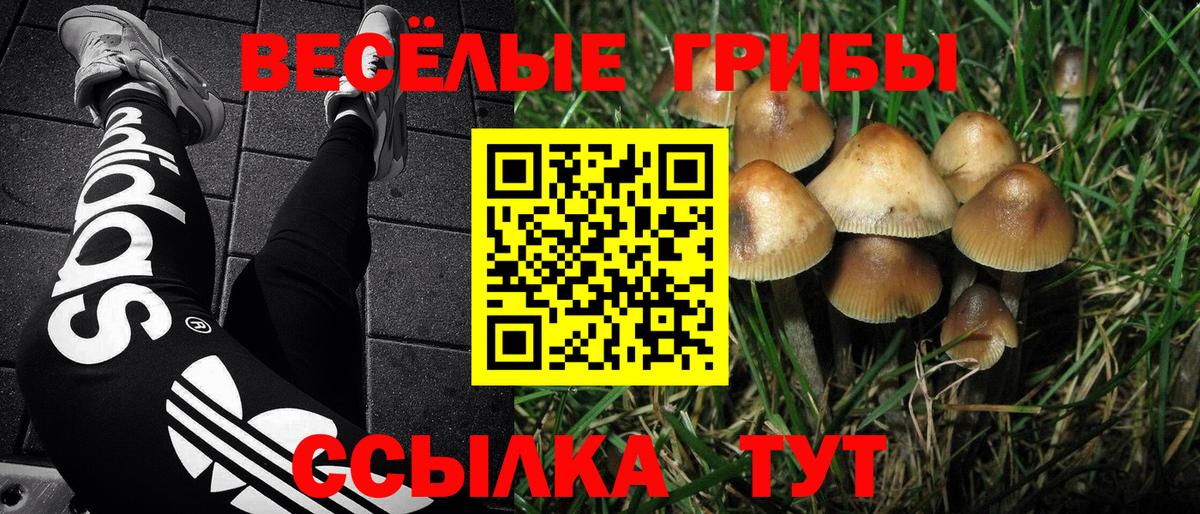 Псилоцибиновые грибы Magic Shrooms Люберцы