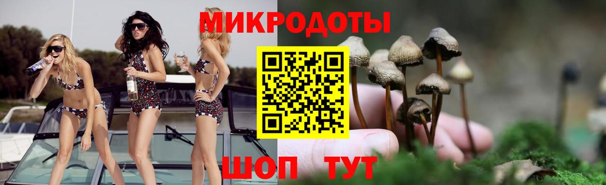 Галлюциногенные грибы MAGIC MUSHROOMS  Вход с VPN  Люберцы 